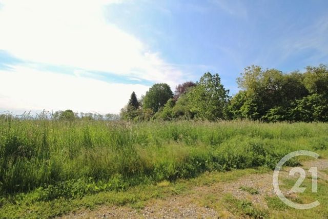 terrain à vendre - 489.0 m2 - BRESSOLLES - 01 - RHONE-ALPES - Century 21 Bde Immo