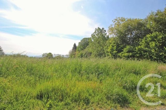 terrain à vendre - 489.0 m2 - BRESSOLLES - 01 - RHONE-ALPES - Century 21 Bde Immo