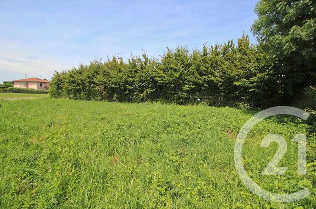 terrain à vendre - 525.0 m2 - PIZAY - 01 - RHONE-ALPES - Century 21 Bde Immo